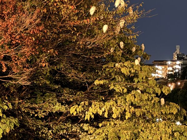 Japan photograph 079