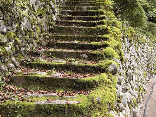 Japan photograph 104