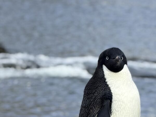 Selected photograph — 033